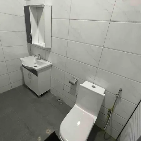 Apartman Vinlu Todar Plevna